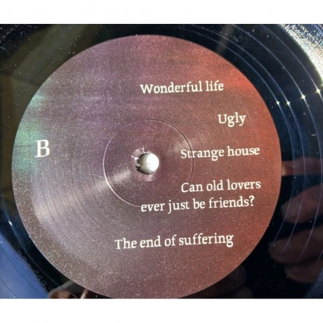 Tom Odell - A Wonderful Life (0198704451652) виниловая пластинка - фото 4