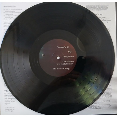 Tom Odell - A Wonderful Life (0198704451652) виниловая пластинка - фото 6