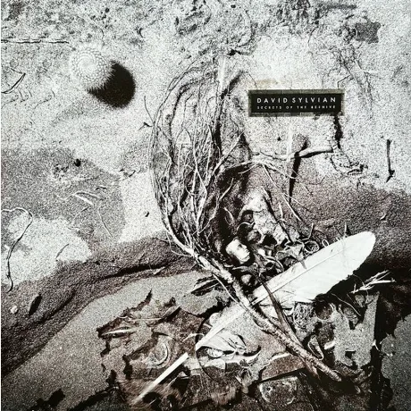 David Sylvian - Secrets Of The Beehive (Coloured) (5400863176310...