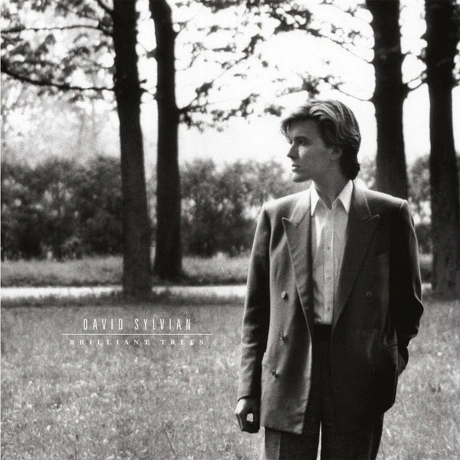 David Sylvian - Brilliant Trees (Coloured) (5400863176280) винил...