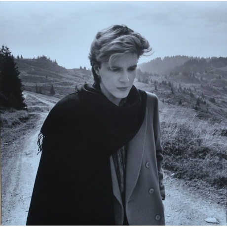 David Sylvian - Brilliant Trees (Coloured) (5400863176280) виниловая пластинка - фото 5