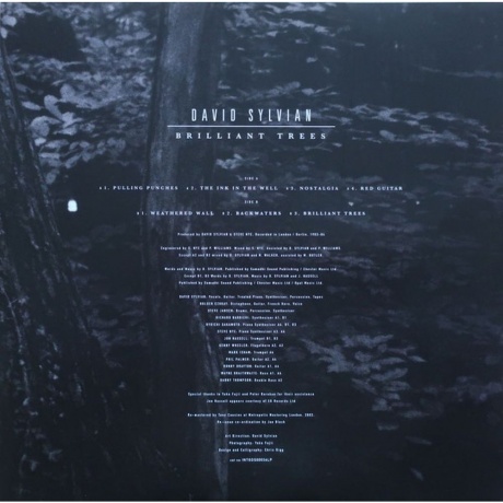 David Sylvian - Brilliant Trees (Coloured) (5400863176280) виниловая пластинка - фото 6