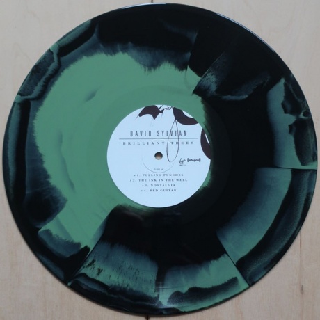 David Sylvian - Brilliant Trees (Coloured) (5400863176280) виниловая пластинка - фото 7
