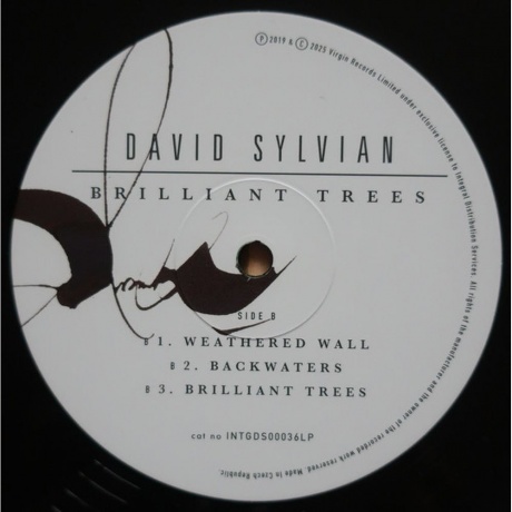 David Sylvian - Brilliant Trees (Coloured) (5400863176280) виниловая пластинка - фото 10
