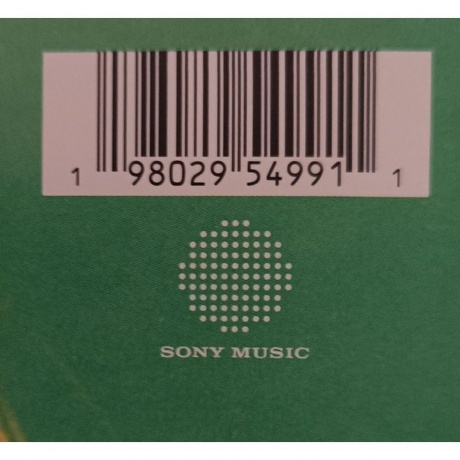 Iggy Pop - New Values (0198029549911) виниловая пластинка - фото 7