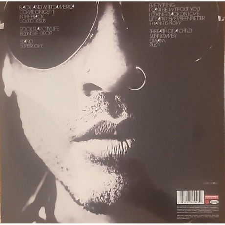 Lenny Kravitz - Black And White America (0081227809430) виниловая пластинка - фото 2