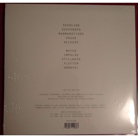 Poppy Ackroyd - Pause (5016958100766) виниловая пластинка - фото 2