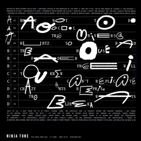 Roisin Murphy - Hit Parade (5054429172973) виниловая пластинка - фото 3