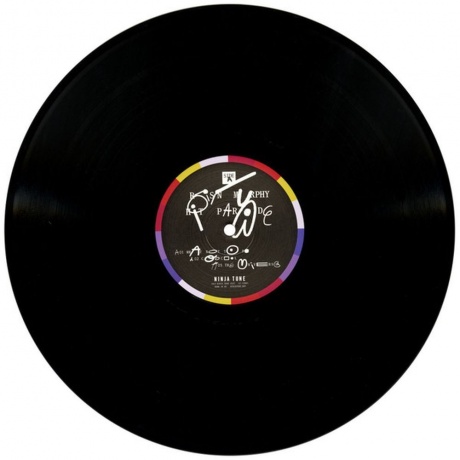 Roisin Murphy - Hit Parade (5054429172973) виниловая пластинка - фото 8