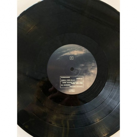 Sofia Kourtesis - Madres (5054429176728) виниловая пластинка - фото 4