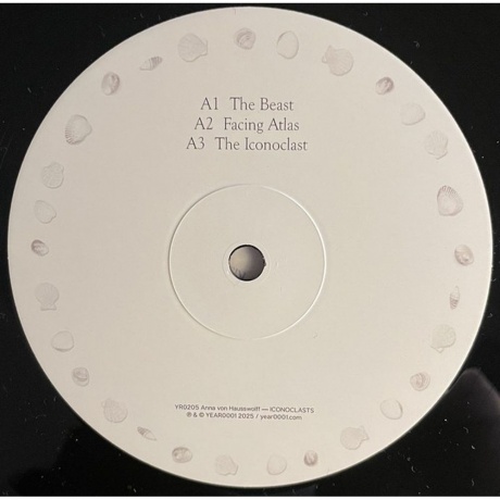Anna Von Hausswolff - Iconoclasts (8721215376378) виниловая пластинка - фото 2