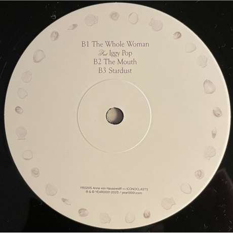 Anna Von Hausswolff - Iconoclasts (8721215376378) виниловая пластинка - фото 3