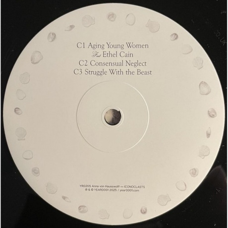 Anna Von Hausswolff - Iconoclasts (8721215376378) виниловая пластинка - фото 4