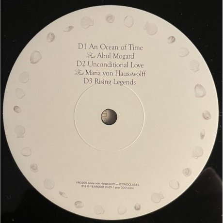 Anna Von Hausswolff - Iconoclasts (8721215376378) виниловая пластинка - фото 5