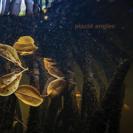

Placid Angles - Touch The Earth (4251804125147) виниловая пластинка