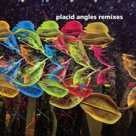 Placid Angles - Touch The Earth Remixes (4251804138192) винилова...