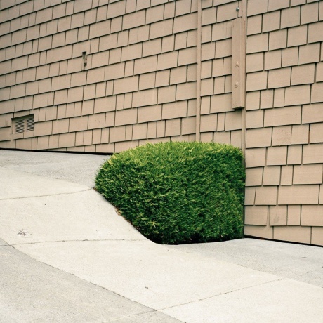 

Ezra Feinberg - Soft Power (4251804182645) виниловая пластинка