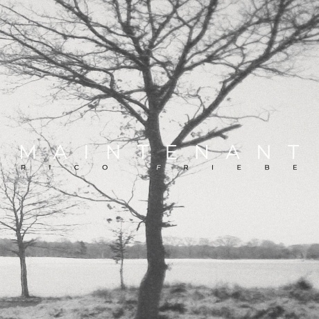 Rico Friebe - Maintenant (4251804183765) виниловая пластинка - фото 1