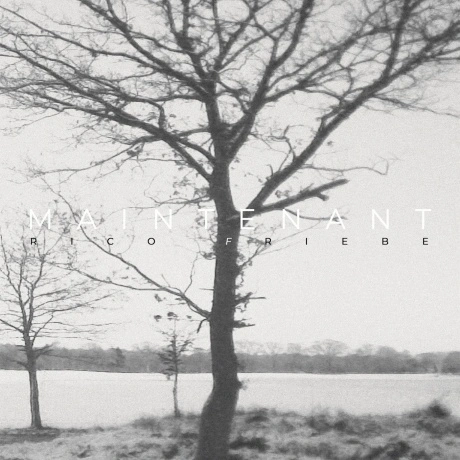 Rico Friebe - Maintenant (4251804183765) виниловая пластинка
