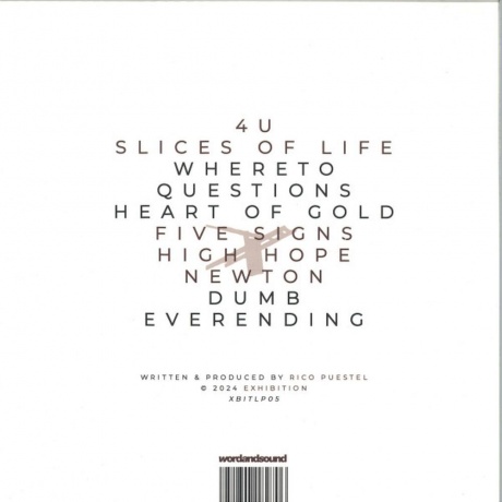 Rico Puestel - Turmoil (4251804182706) виниловая пластинка - фото 2