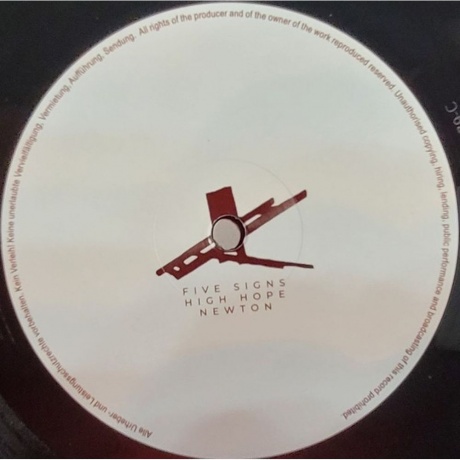 Rico Puestel - Turmoil (4251804182706) виниловая пластинка - фото 5