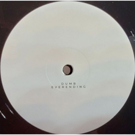 Rico Puestel - Turmoil (4251804182706) виниловая пластинка - фото 6