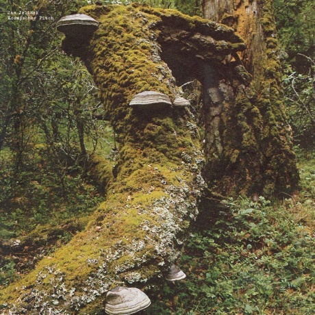 Jan Jelinek - Kosmischer Pitch (0880918267173) виниловая пластинка - фото 1