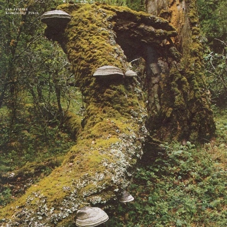 Jan Jelinek - Kosmischer Pitch (0880918267173) виниловая пластин...