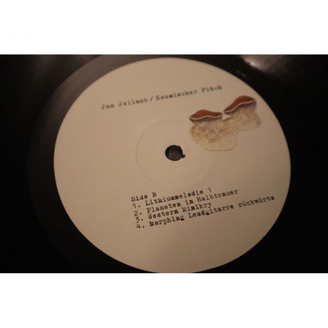 Jan Jelinek - Kosmischer Pitch (0880918267173) виниловая пластинка - фото 3