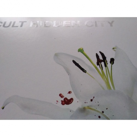 The Cult - Hidden City (Half Speed) (0711297512168) виниловая пластинка - фото 11