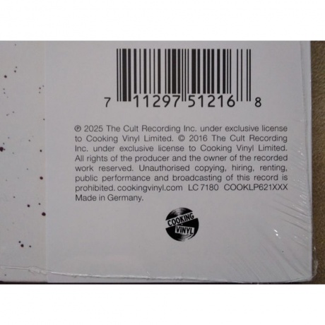 The Cult - Hidden City (Half Speed) (0711297512168) виниловая пластинка - фото 12