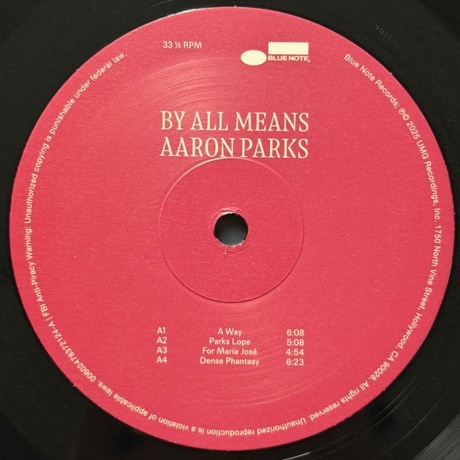 Aaron Parks - By All Means (0602478372124) виниловая пластинка - фото 3