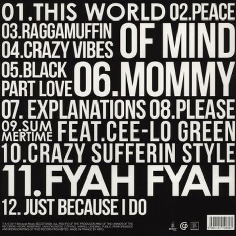 Selah Sue - Selah Sue (5060107728387) виниловая пластинка - фото 6