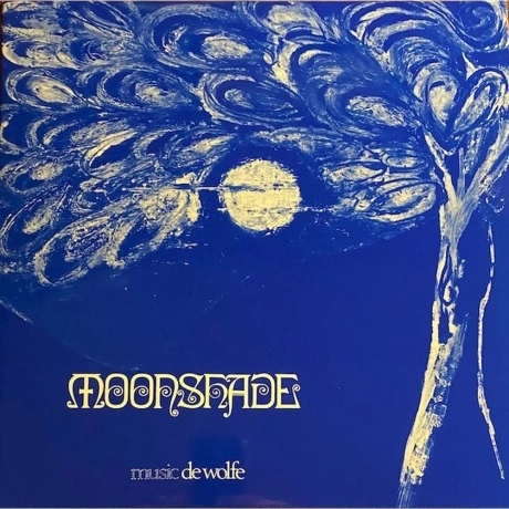 Roger Webb - Moonshade (4251804140706) виниловая пластинка