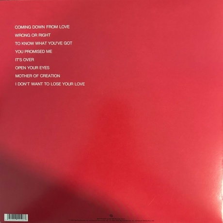 Bobby Caldwell - Cat In The Hat (4251804141987) виниловая пластинка - фото 2