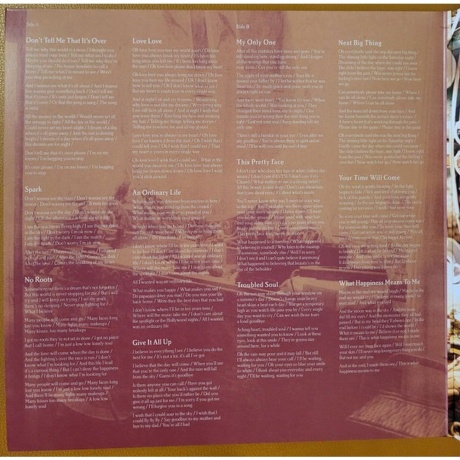 Amy Macdonald - A Curious Thing (Coloured) (0602478494833) виниловая пластинка - фото 2