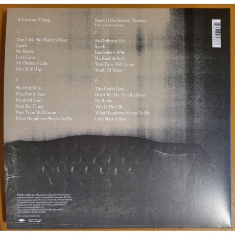 Amy Macdonald - A Curious Thing (Coloured) (0602478494833) виниловая пластинка - фото 4