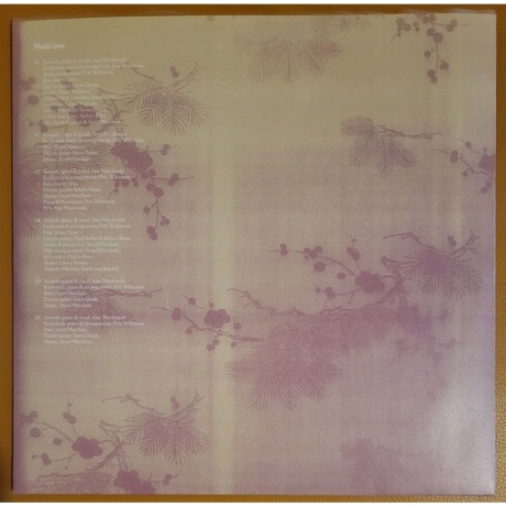 Amy Macdonald - A Curious Thing (Coloured) (0602478494833) виниловая пластинка - фото 9