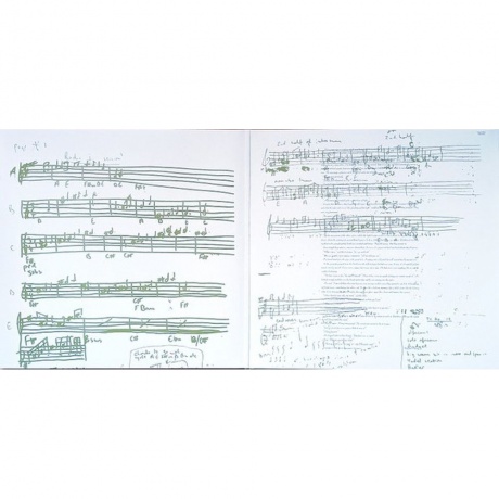 Mike Oldfield - Amarok (Half Speed) (0602478375545) виниловая пластинка - фото 2