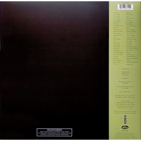 Mike Oldfield - Amarok (Half Speed) (0602478375545) виниловая пластинка - фото 3