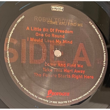 Robin Trower - Come And Find Me (8712725749615) виниловая пластинка - фото 3