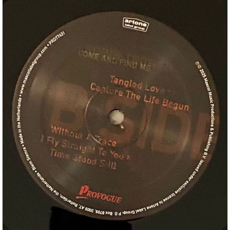 Robin Trower - Come And Find Me (8712725749615) виниловая пластинка - фото 4