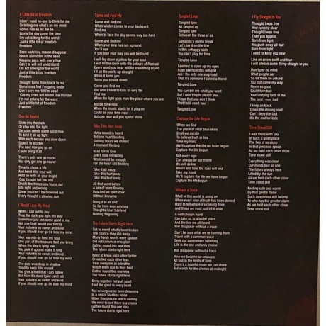 Robin Trower - Come And Find Me (8712725749615) виниловая пластинка - фото 5