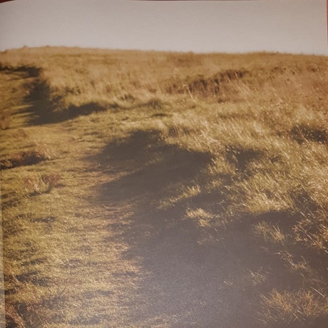 Angel Olsen - Big Time (Coloured) (0656605242439) виниловая пластинка - фото 14