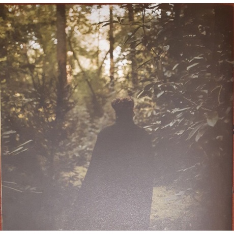 Angel Olsen - Big Time (Coloured) (0656605242439) виниловая пластинка - фото 21