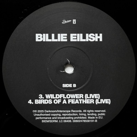 Billie Eilish - Live (Ep) (0602478558191) виниловая пластинка - фото 4