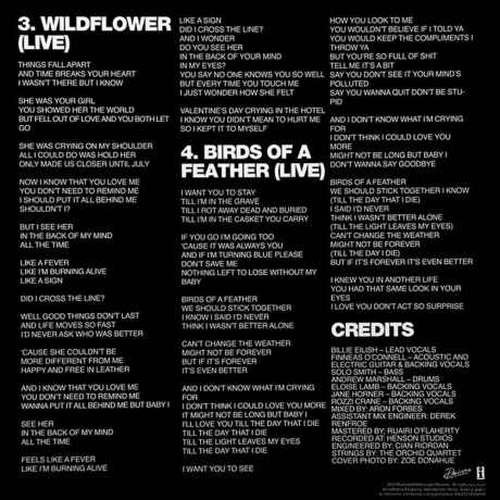 Billie Eilish - Live (Ep) (0602478558191) виниловая пластинка - фото 6