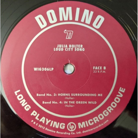 Julia Holter - Loud City Song (0887828030613) виниловая пластинка - фото 4