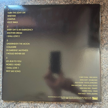 Julia Holter - Aviary (0887828041718) виниловая пластинка - фото 2