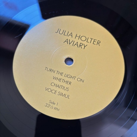 Julia Holter - Aviary (0887828041718) виниловая пластинка - фото 5
